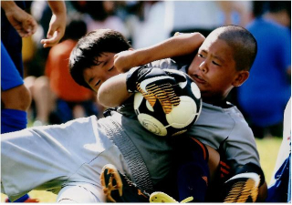 2017特選『真剣勝負』