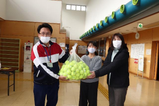 使用済みテニスボール300個