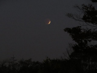 暗くなりました。