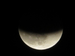 拡大した写真。